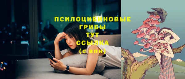 mix Няндома