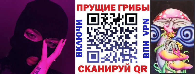 Псилоцибиновые грибы Psilocybe  Улан-Удэ 